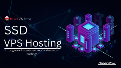 SSD VPS Hosting: Where Speed Meets Support